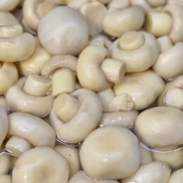 Cogumelo ( champignon ) inteiro
