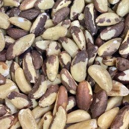 Castanha do Pará média